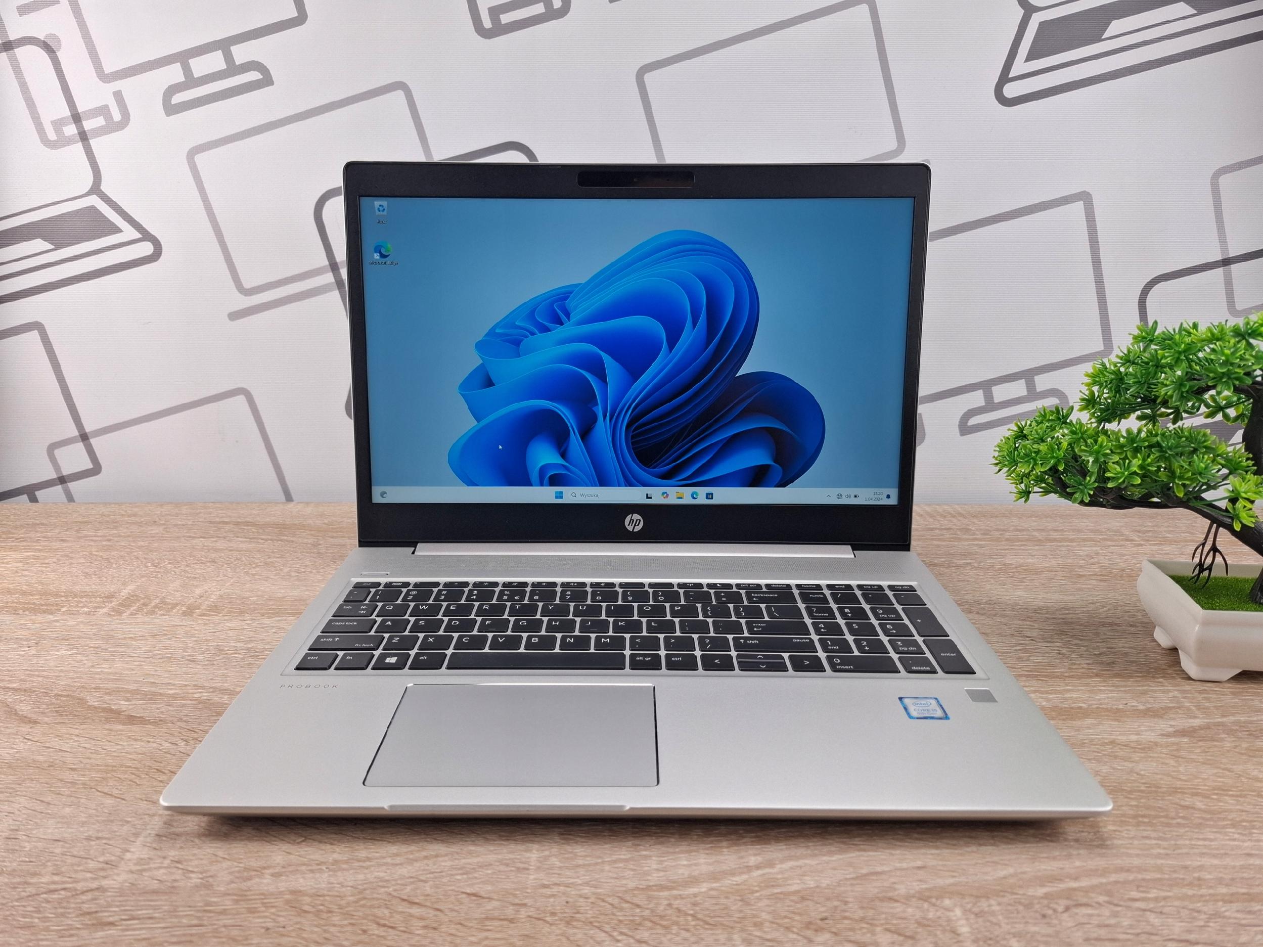 Laptop HP ProBook 450 G6 i5-8265U 8 GB 2 TB SSD Windows 11 NUOVO DISCO - immagine 3